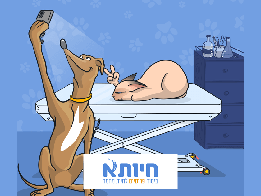 חיותא - ביטוח בריאות לחיות מחמד